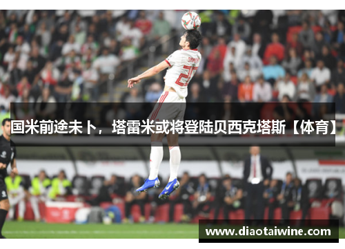 国米前途未卜，塔雷米或将登陆贝西克塔斯【体育】